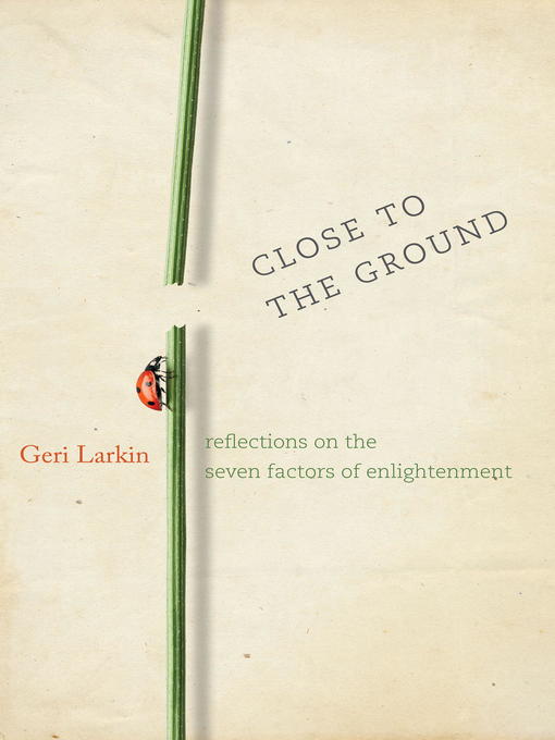 Cover image for Close to the Ground